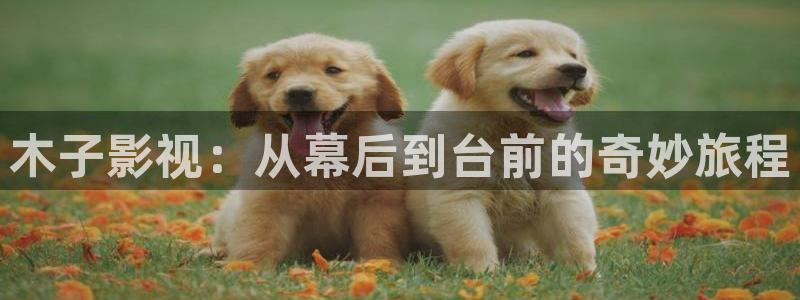 民国传奇精东影业在哪里看