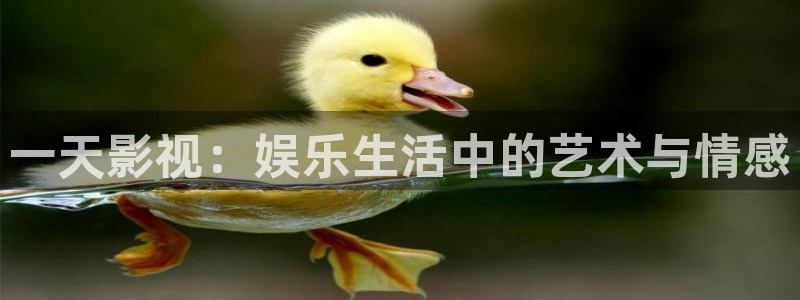 精东影业在线免费观看