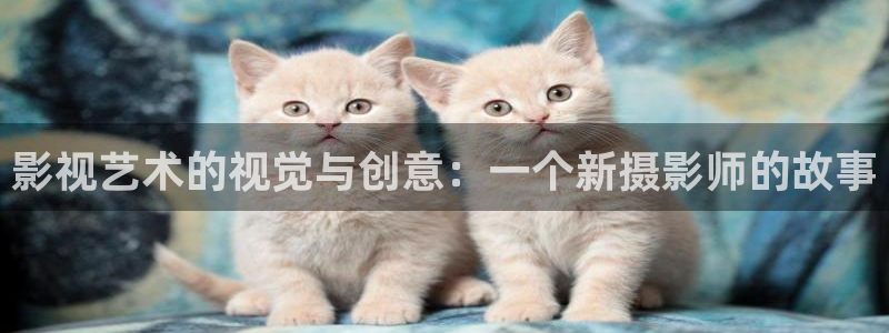 精东影业网址多少